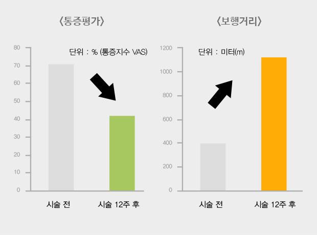 통증평가, 보행거리